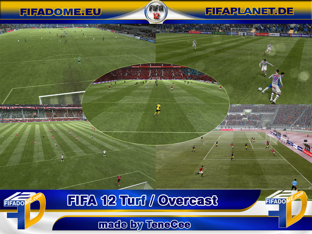 FIFA 12 Turf